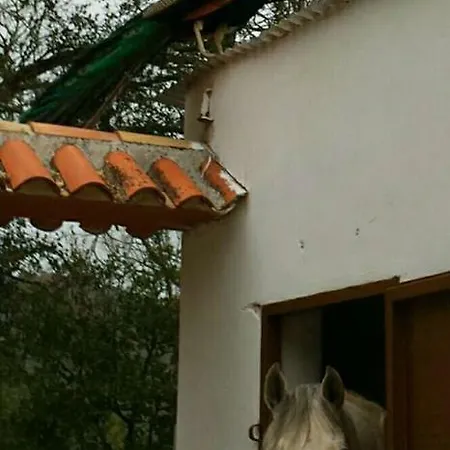 El Carrascal, 2 Llaves, Rural Apartment Arroyo Frio